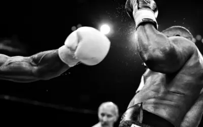 Neck and Shoulder Injuries in Mixed Martial Arts: Striking, Grappling, and Other Disciplines
